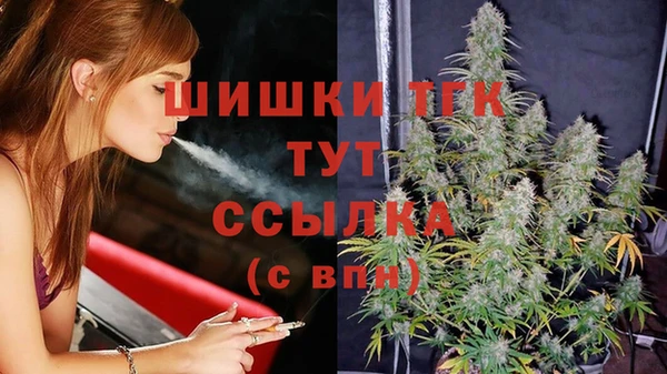 тгк Аркадак