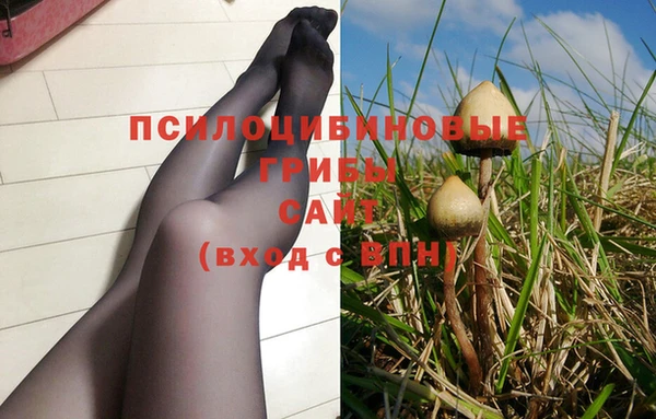 apvp Рославль