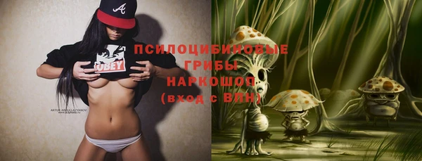 тгк Аркадак